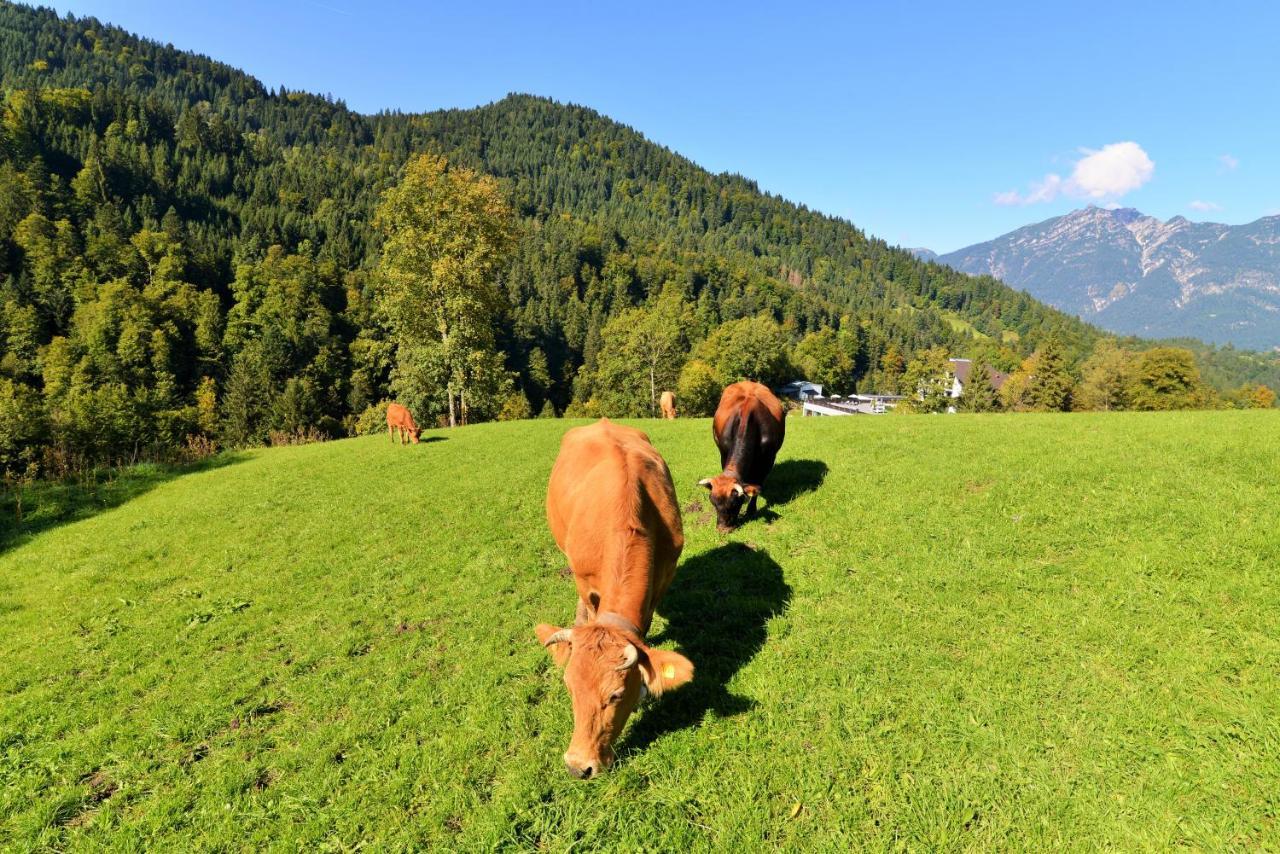 Das Graseck - Mountain Hideaway & Health Care Garmisch-Partenkirchen Esterno foto